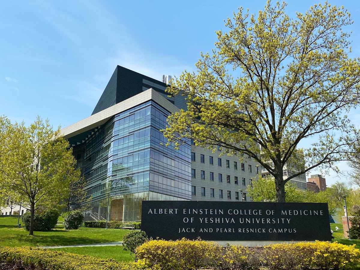 Albert Einstein College of Medicine