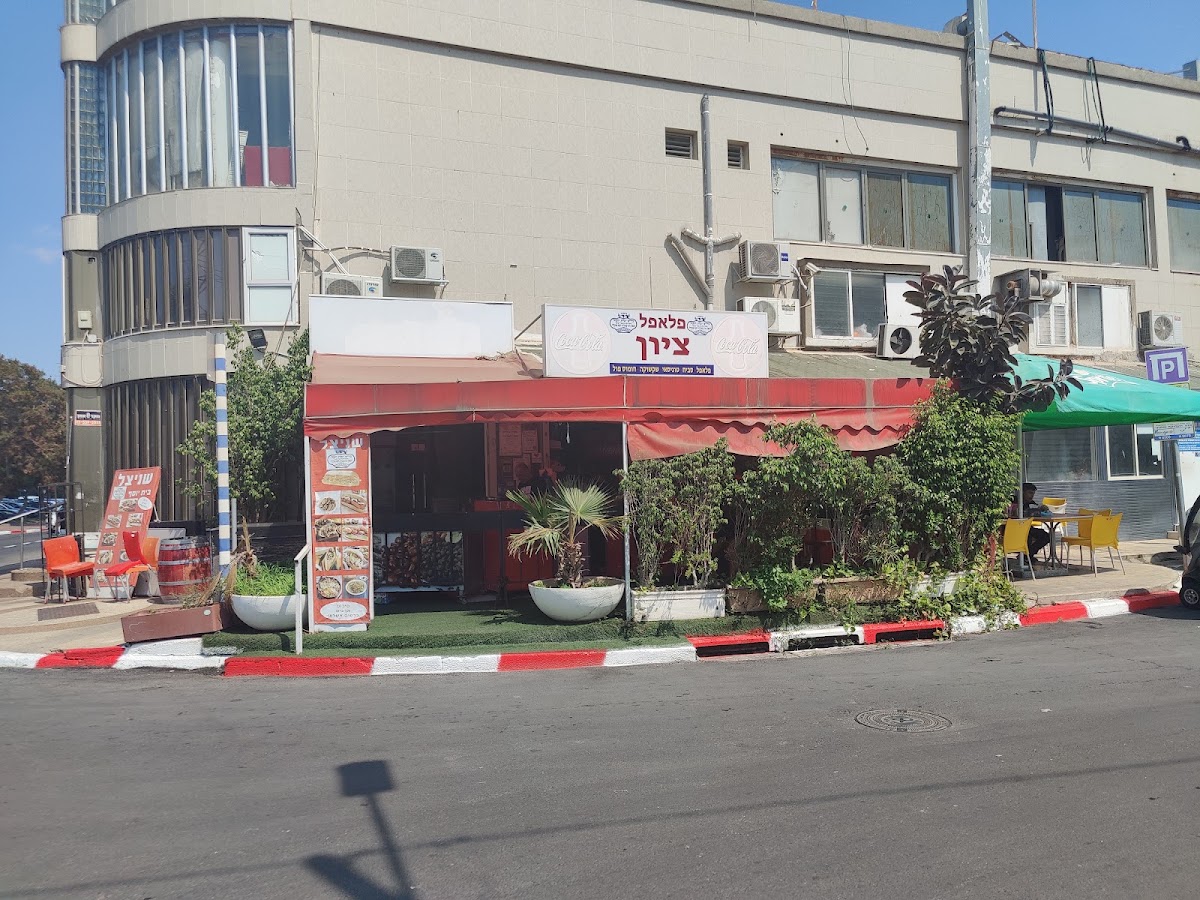 פלאפל ציון