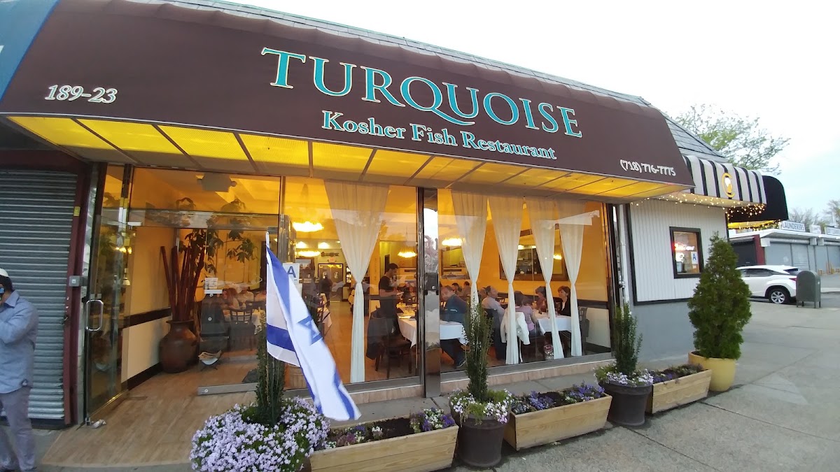 Turquoise Fish