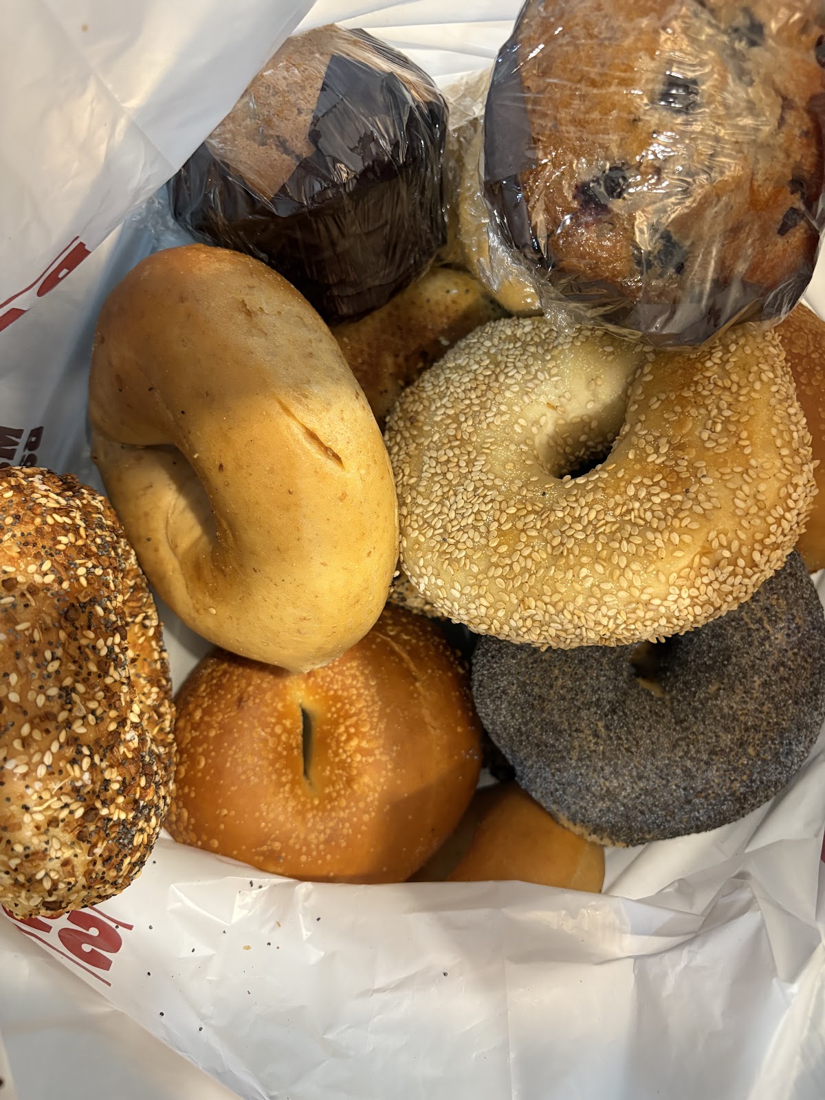 Bagel Boss David Posnack JCC