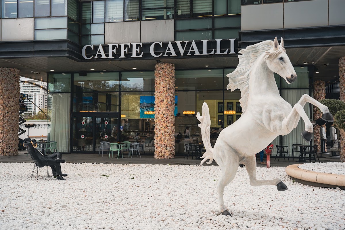 Cafe cavalli - קפה קוואלי