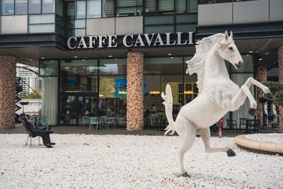 Cafe cavalli - קפה קוואלי