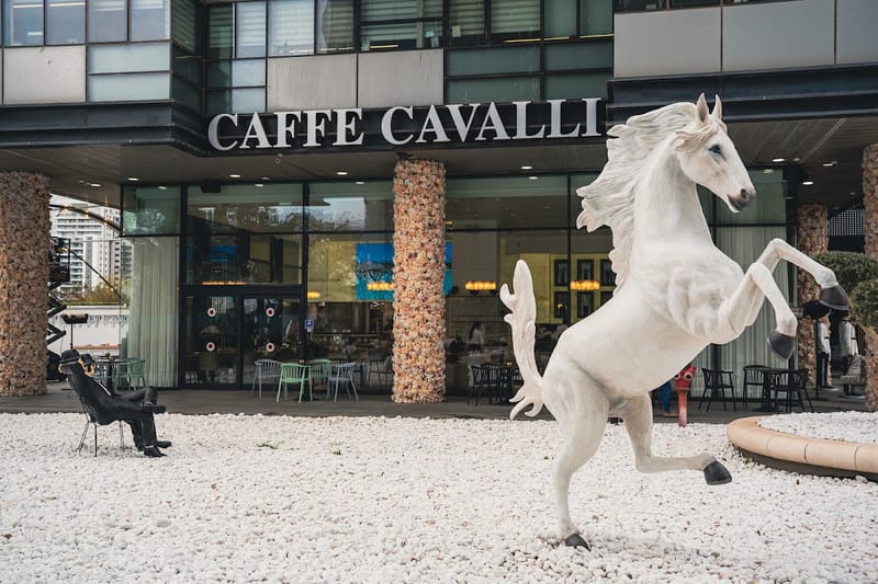 Cafe cavalli - קפה קוואלי